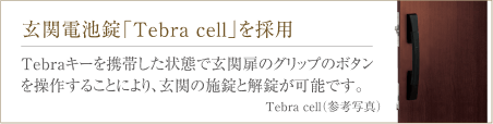 玄関電池錠「Tebra cell」を採用 Tebraキーを携帯した状態で玄関扉のグリップのボタンを操作することにより、玄関の施錠と会場が可能です。