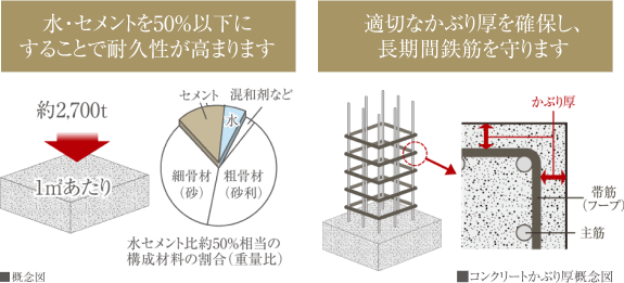 水・セメントを50%以下にすることで耐久性が高まります・適切なかぶり厚を確保し、長期間鉄筋を守ります